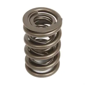 Pac-1941 Brodix Dual Valve Spring For Big Block Chevy Outside Diameter 1.550 Inch Pac-1941 Brodix Dual Valve Spring For Big Block Chevy Outside Diameter 1.550 Inch