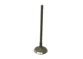 Nca2532aa Eurospare 2x Exhaust Valve Jaguar Xk8 Xkr S-type Xj8 Vanden Plas Xjr