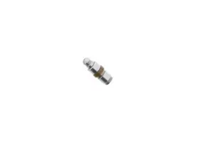 022109423c Ina 4200172100 Hydraulic Valve Lifter Volkswagen Atlas Touareg Audi