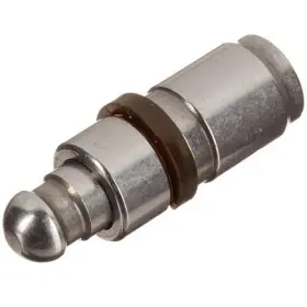 Vt0019 Ina
