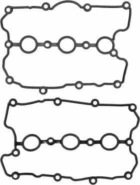 15-10113-01 Victor Reinz Engine Valve Cover Gasket Set For Audi Porsche Volkswagen