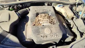 78103927aa Volkswagen 99-05 Vw Passat Center Main Engine Cover Top Plastic Shield Oem 2.8l