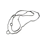 12649041 Ac Delco Valve Cover Gasket Outer Exterior Outside For Chevy Spark New. Price: $49.48.
