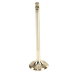 Trw Exhaust Valve 111209 New. Price: $31.59.