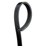 Ford Focus 2014-2016 Gates Micro-v Stretch Fit Serpentine Belt New. Price: $11.94.