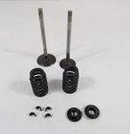 Chevy Gen 5.3L 5300 LM7 V8 Kit Valves Springs Keepers Caps Used. Price: $19.95.