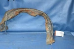 Nos 1984-87 Chevy Cavalier 2D/CONV Lh Rear Wheel Lip Molding Edge Trim 20495539 New. Price: $85.00.