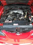 1994-1996 Ford Mustang Radiator Cover Hardware Kit Street Outlaw Pony Sale! New. Price: $43.49.