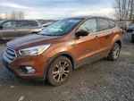 Engine Cover Oem 2020 Ford Escape DS7Z6A949N Used. Price: $100.00.