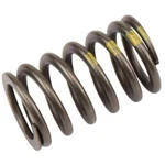 90537032 Ac Delco Valve Spring For Chevy Olds Buick Regal Chevrolet Equinox Gmc New. Price: $17.37.