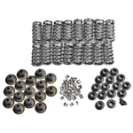 Trick Flow Cylinder Head Valve Spring Upgrade Stock Kit Mustang 4.6L/ 5.4L 2V... New. Price: $242.99.