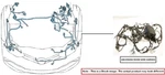 Engine Room Harness Oem 2016 Ford Transcnct Used. Price: $200.00.