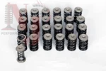 Dual Valve Springs Set OM606 OM612 OM628 OM648 Mercedes Diesel Njperformance New. Price: $620.00.