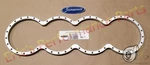 Supertech BG-H22/F22 Block Guard Honda Prelude Accord Sohc F23 H23 Turbo E85 New. Price: $148.98.
